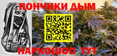 индика Краснознаменск