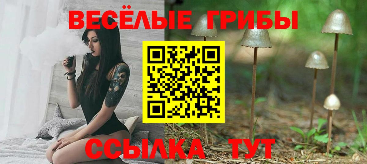 Тихорецк  Псилоцибиновые грибы мухоморы  Вход с VPN 