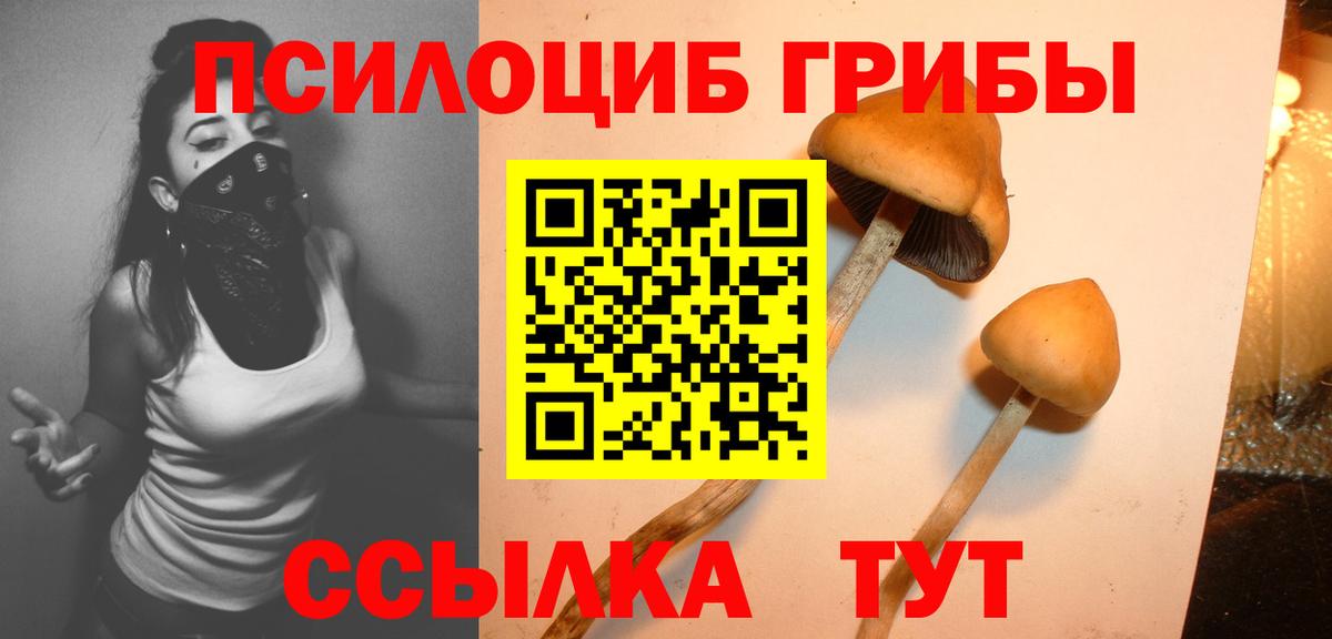 Галлюциногенные грибы Magic Shrooms Тихорецк